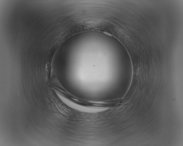 X0000073900868200608251455