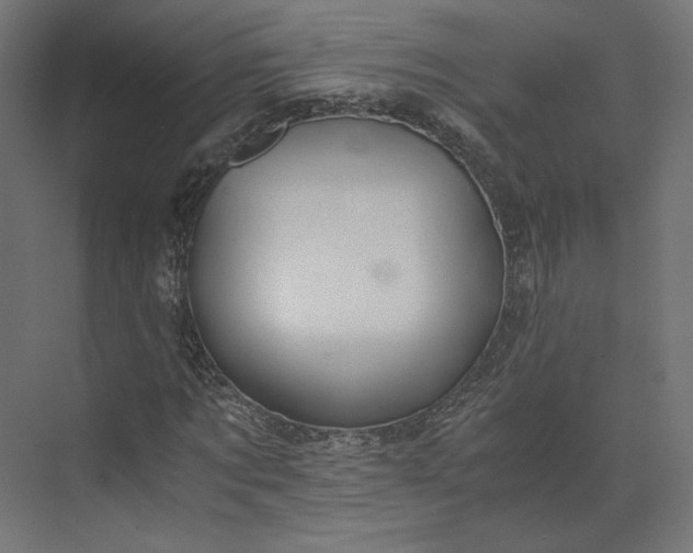 X0000073900869200608251455