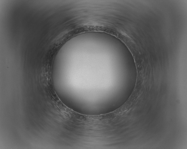 X0000073900870200608251455