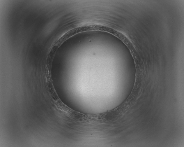 X0000073900871200608251455