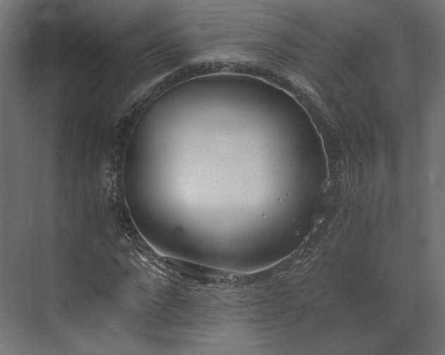 X0000073900872200608251454