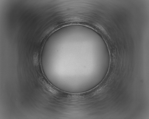 X0000073900873200608251454