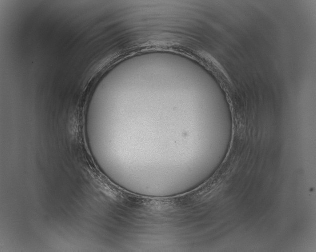 X0000073900874200608251454