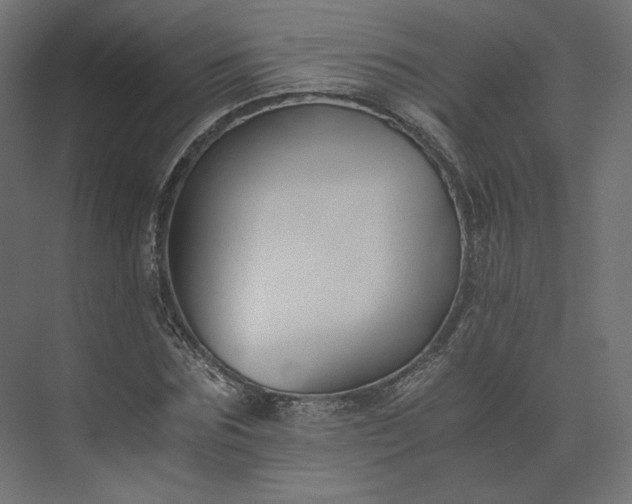 X0000073900875200608251454