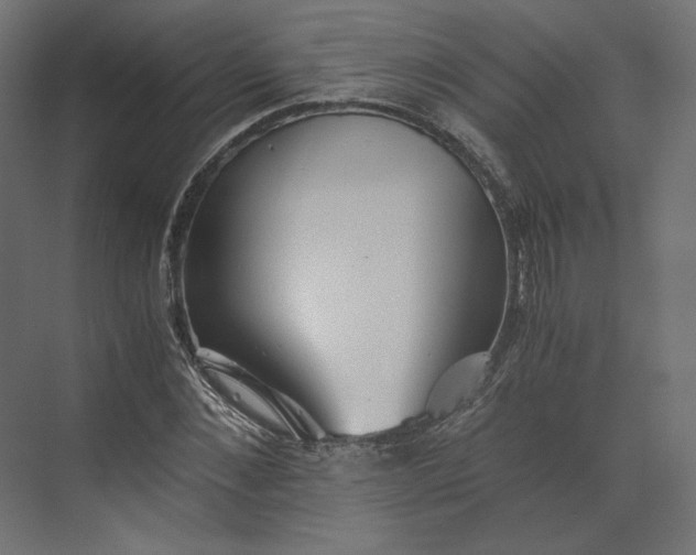 X0000073900876200608251454