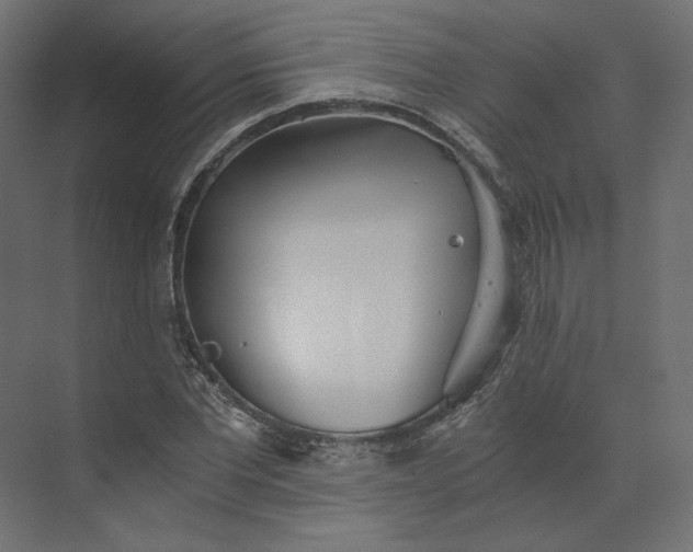 X0000073900877200608251454