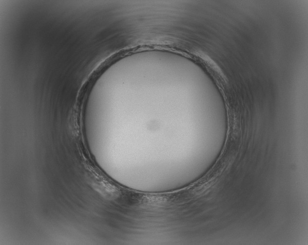 X0000073900878200608251454