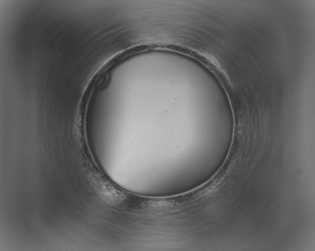 X0000073900879200608251454