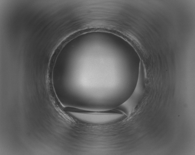 X0000073900880200608251454