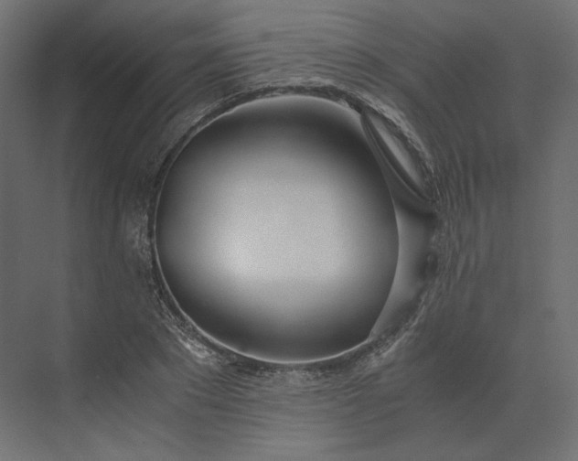 X0000073900881200608251454