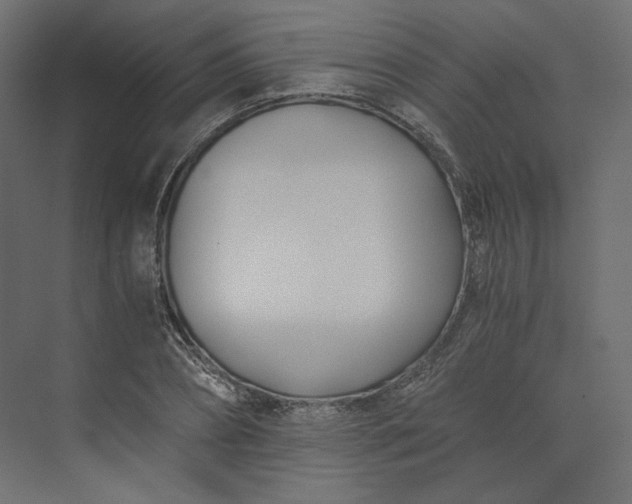 X0000073900882200608251454