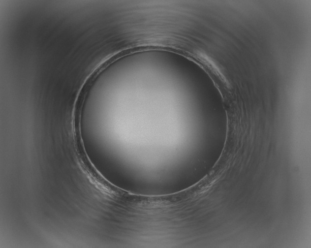 X0000073900884200608251454