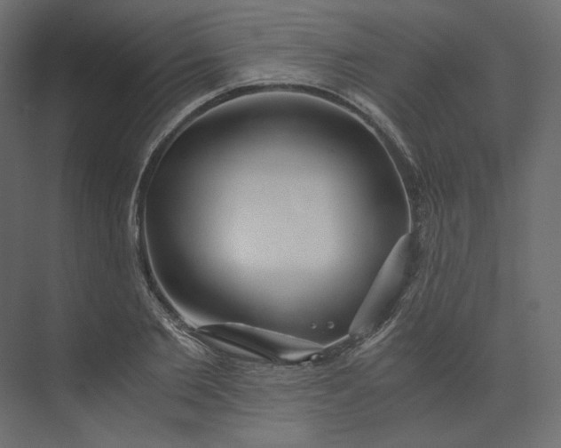 X0000073900885200608251454