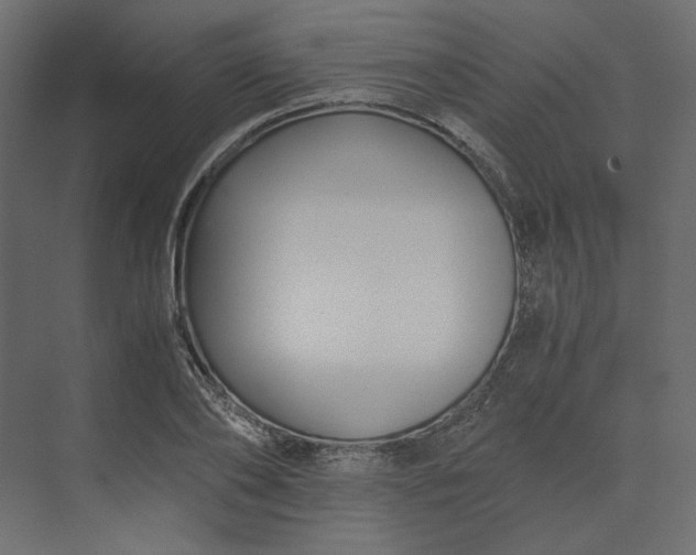 X0000073900886200608251454