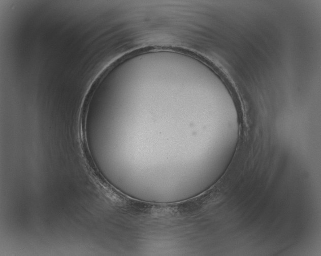 X0000073900887200608251454