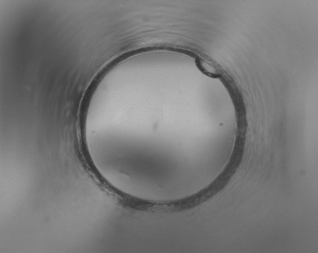 X0000073900888200608251454