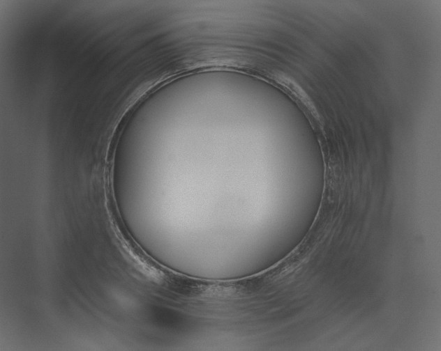 X0000073900890200608251454