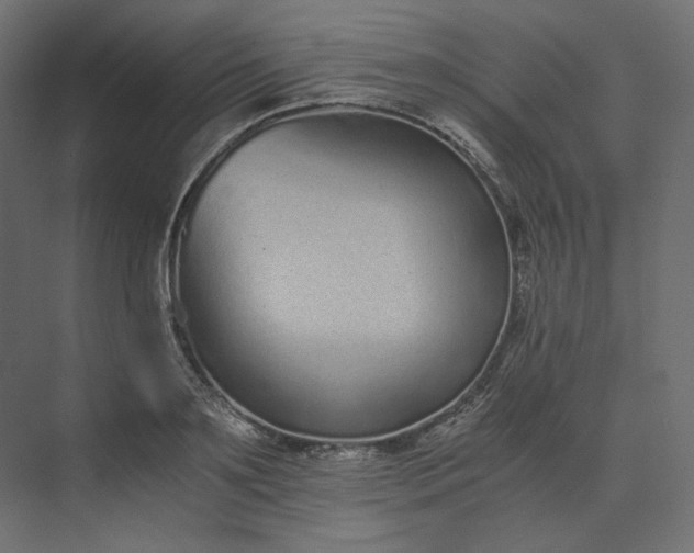 X0000073900891200608251454