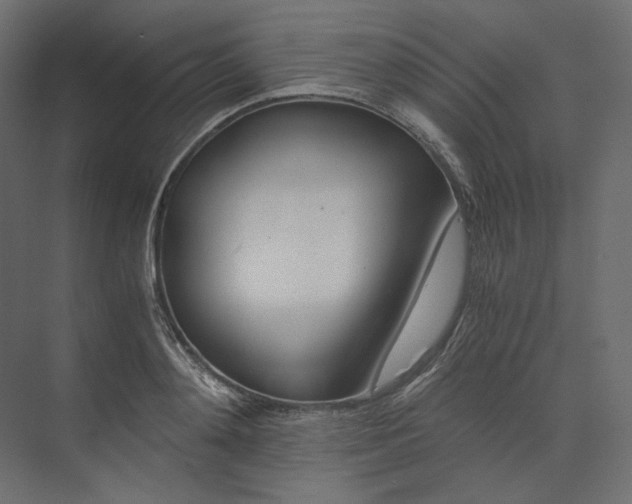 X0000073900892200608251454