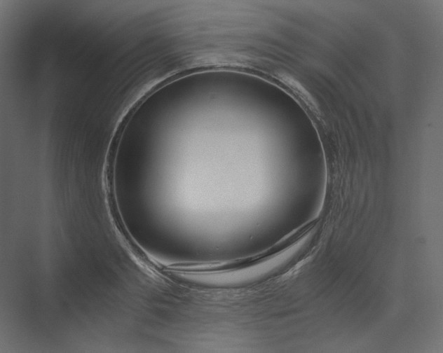 X0000073900893200608251454