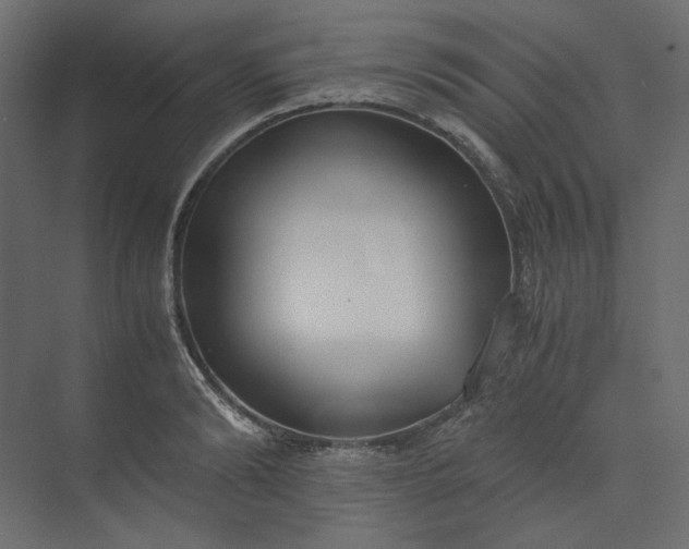 X0000073900894200608251454