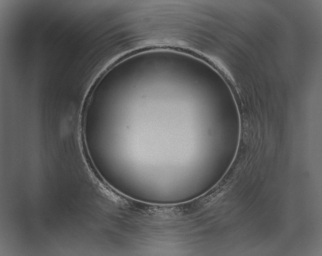 X0000073900895200608251454