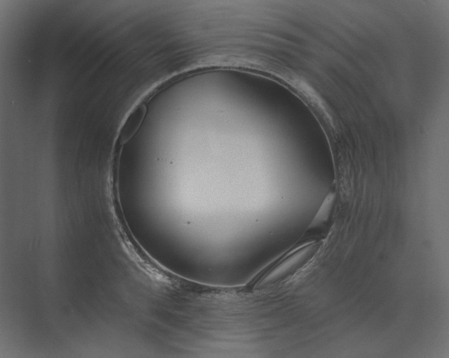 X0000073900896200608251454