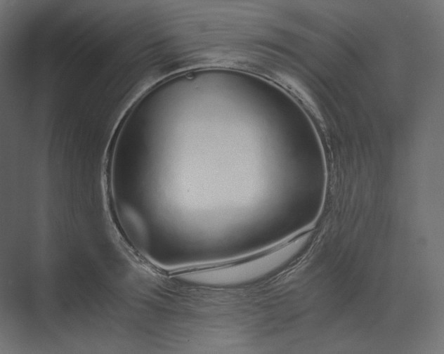 X0000073900899200608251454