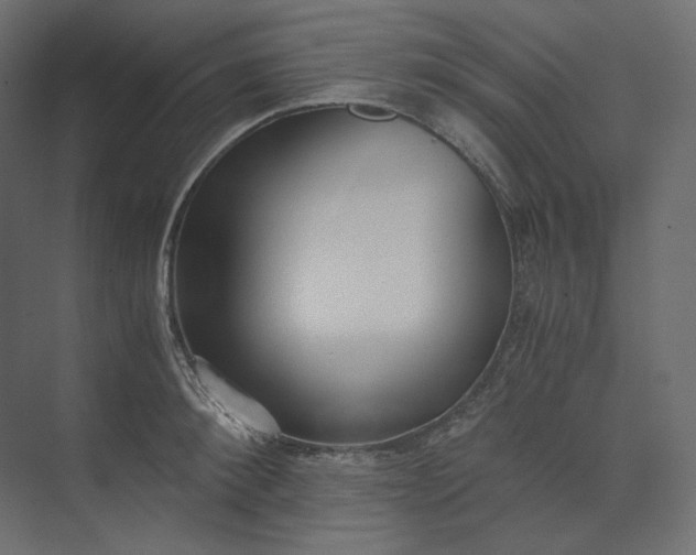 X0000073900900200608251454