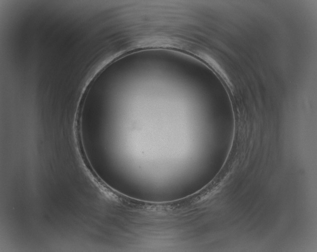 X0000073900901200608251454