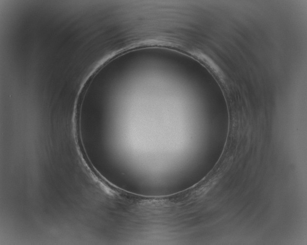 X0000073900902200608251454