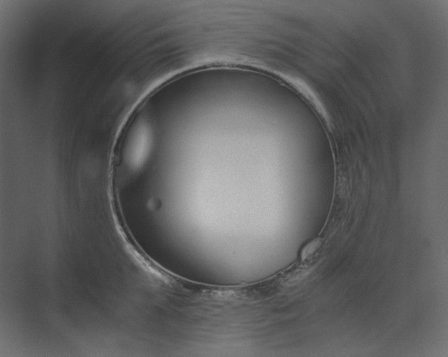 X0000073900903200608251454