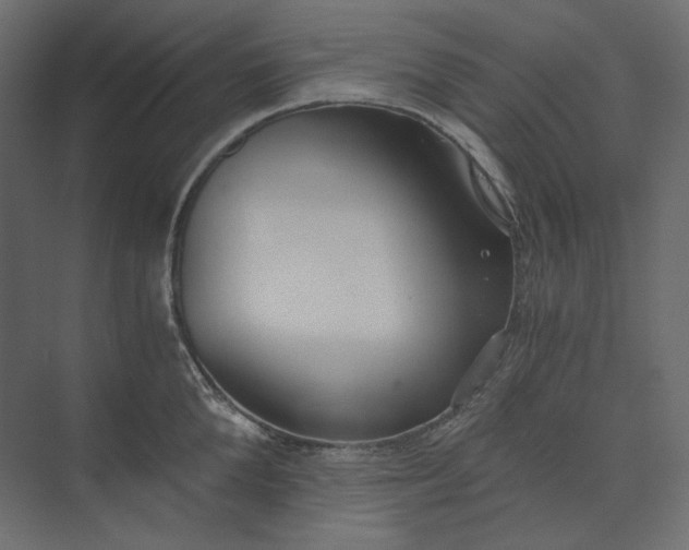 X0000073900904200608251454