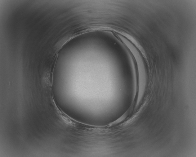 X0000073900905200608251454