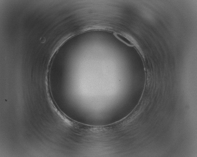 X0000073900906200608251454