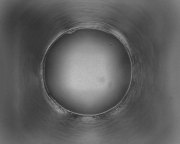 X0000073900907200608251454