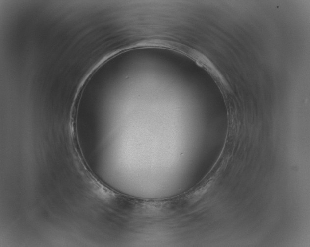 X0000073900908200608251454