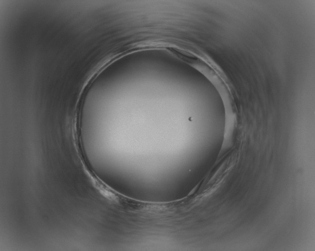 X0000073900909200608251454