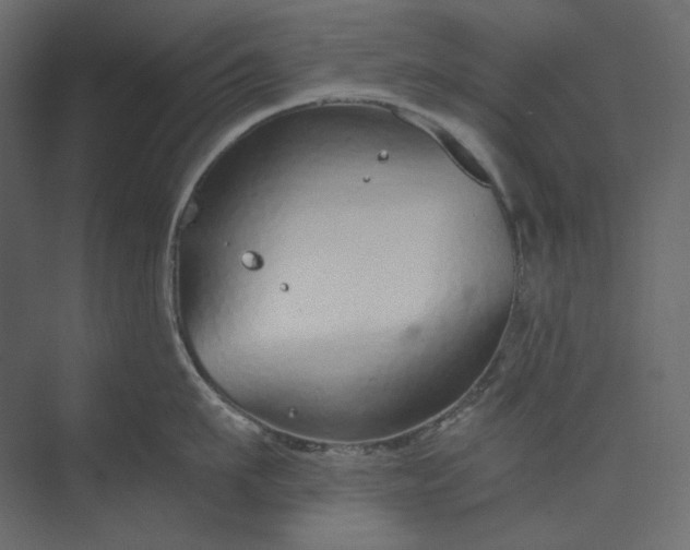 X0000073900911200608251454