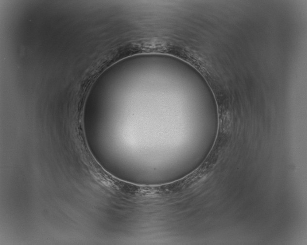 X0000073900913200608251453