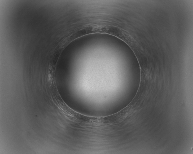 X0000073900914200608251453