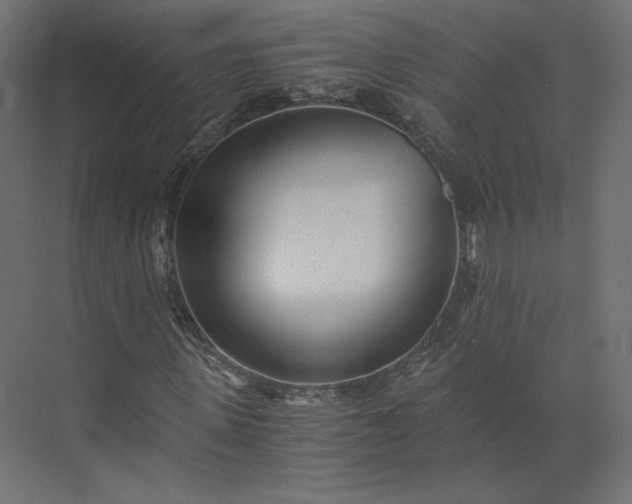 X0000073900915200608251453