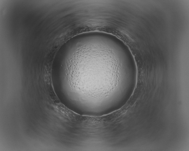 X0000073900917200608251453