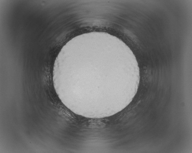 X0000073900918200608251453