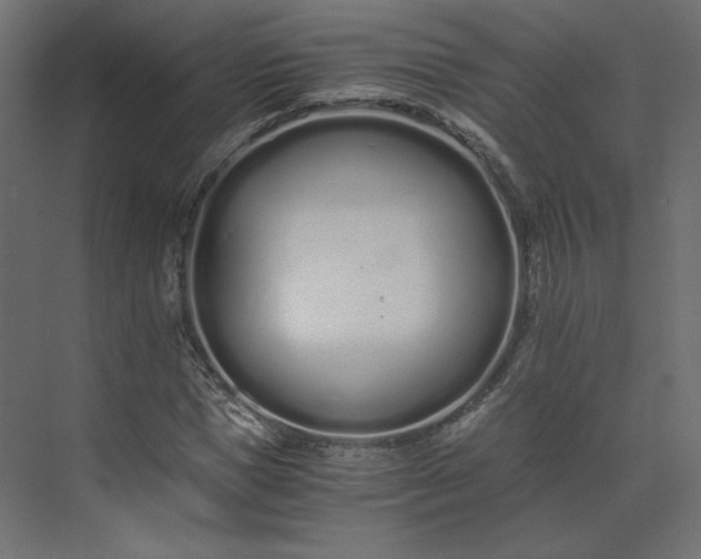 X0000073900921200608251453