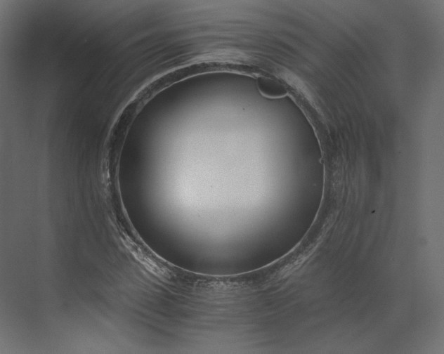 X0000073900923200608251453