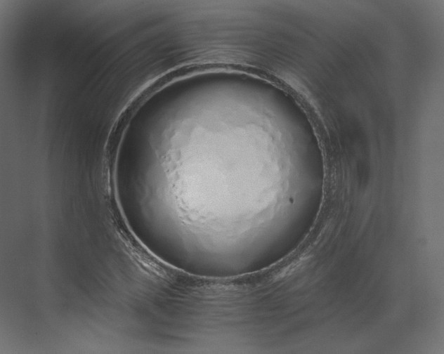 X0000073900925200608251453