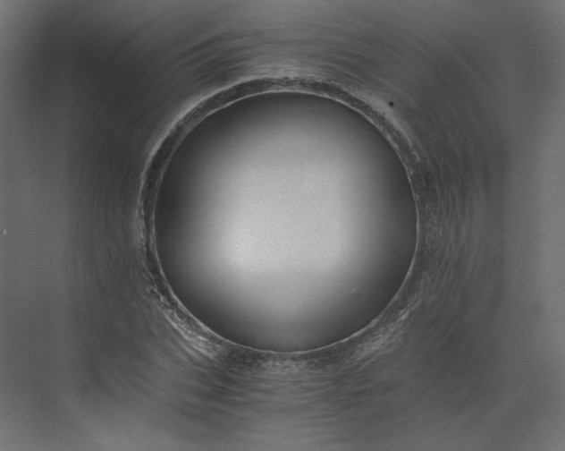 X0000073900927200608251453