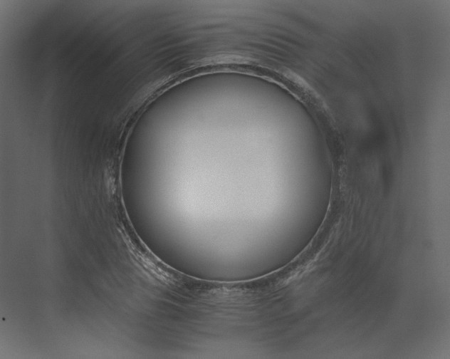 X0000073900929200608251453