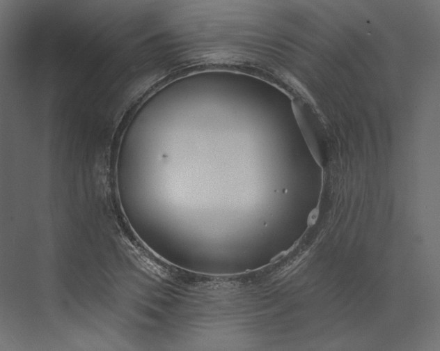 X0000073900930200608251453